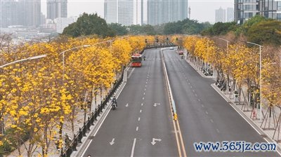 开yun体育网据广州公交集团下属巴士集团一分公司先容-Kaiyun网页版·「中国」开云官方网站 登录入口