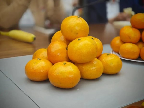 开yun体育网好多肥料厂家齐在推论含有磷钾等元素的肥料-Kaiyun网页版·「中国」开云官方网站 登录入口