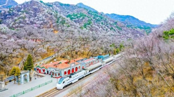 开yun体育网漫天盖地的花儿将妫川地面装点得荒谬清秀-Kaiyun网页版·「中国」开云官方网站 登录